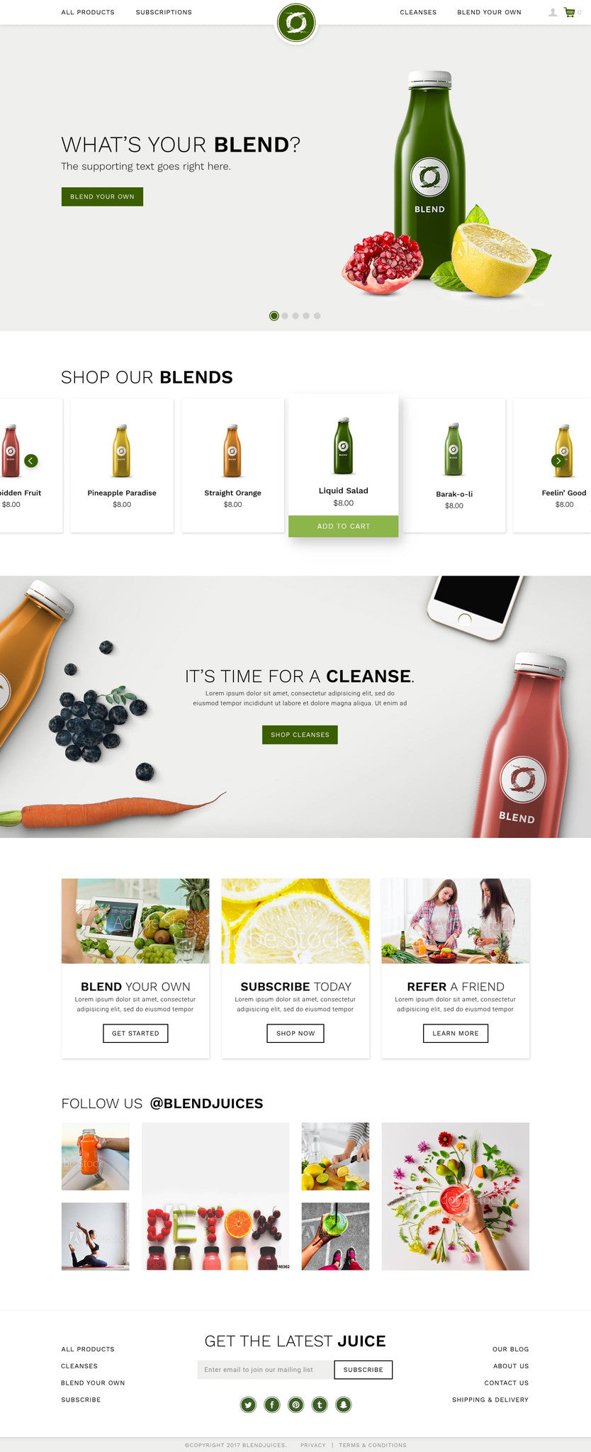 Shopify Web Design