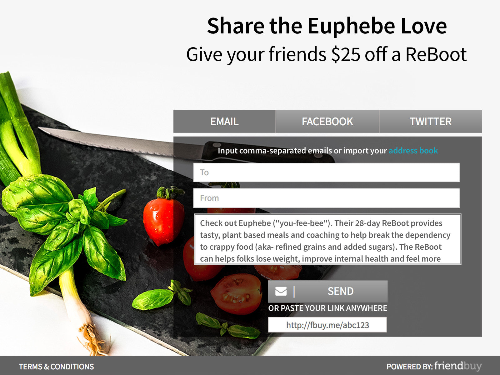 Shopify Web Design