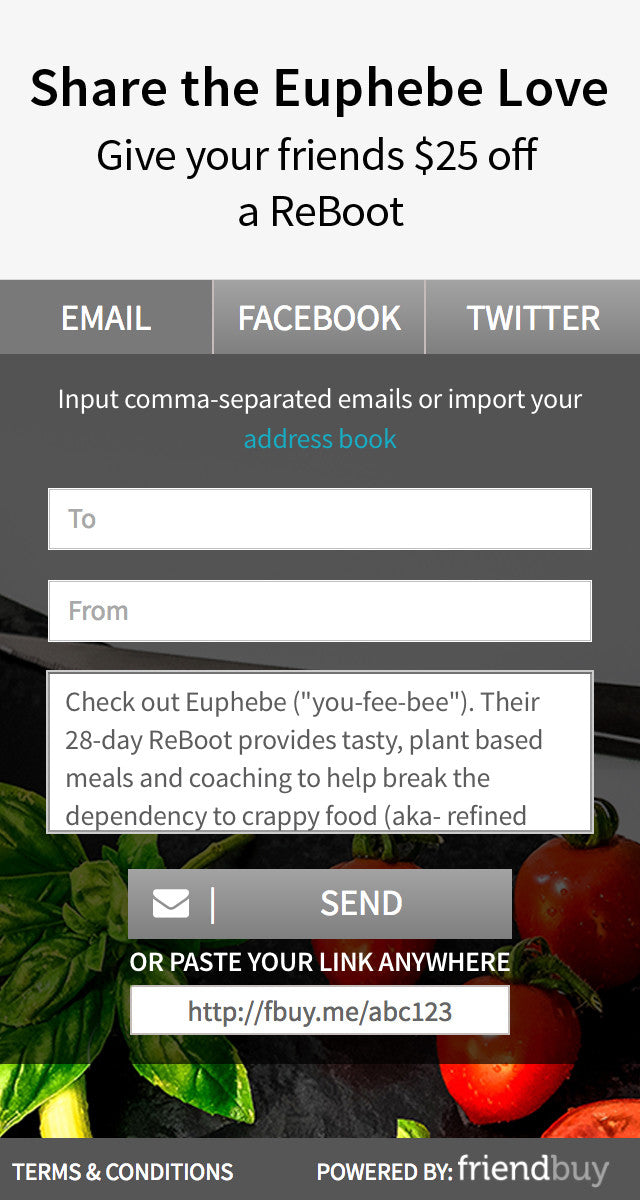 Shopify Web Design