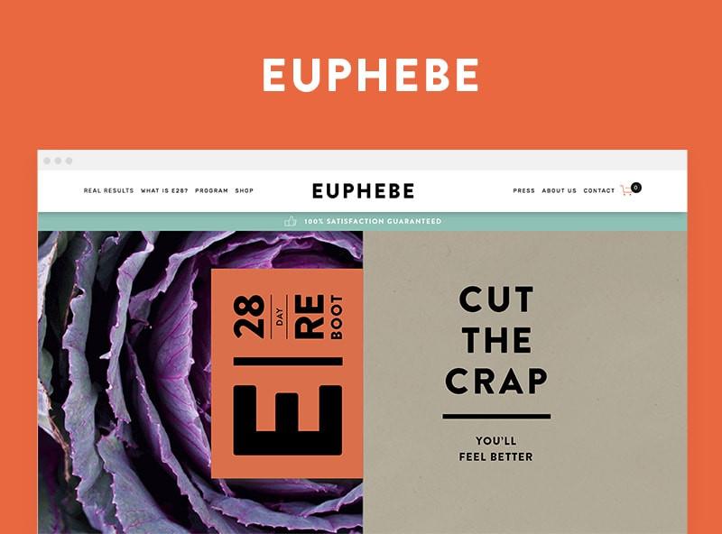 Shopify Web Design