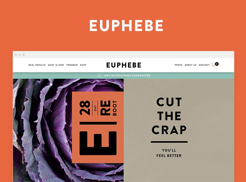 Shopify Web Design