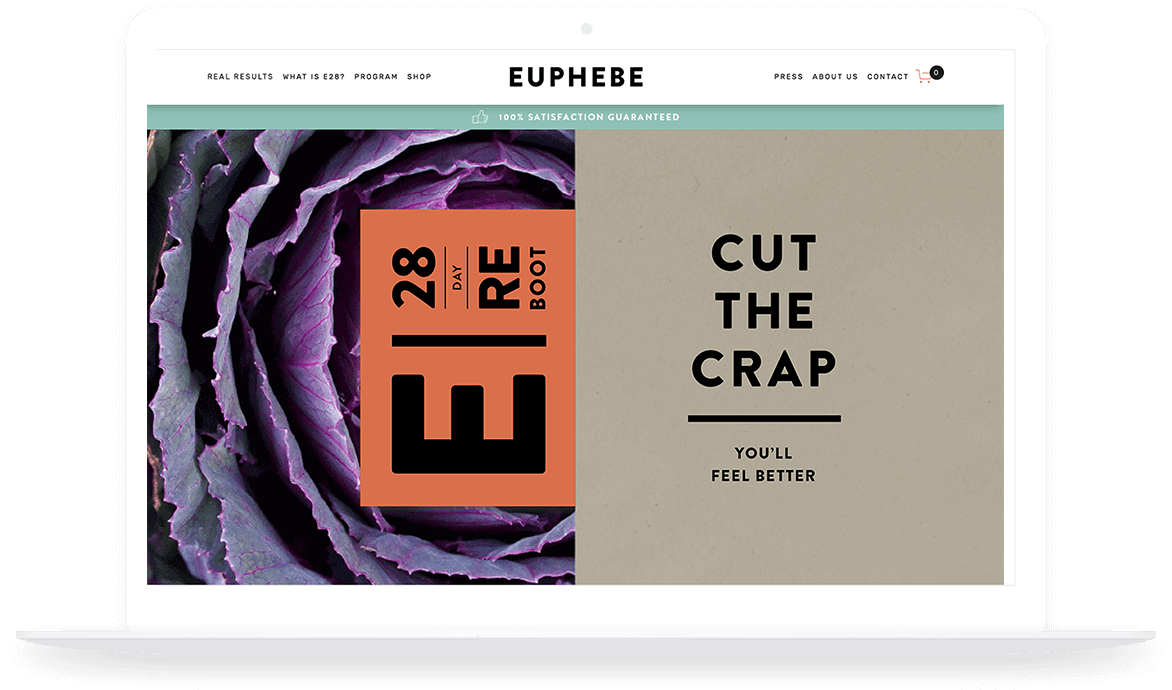 Shopify Web Design